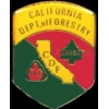 CALIFORNIA DEPT OF FORESTRY PIN CDF PATCH MINI PIN CALIFORNIA DEPT OF FORESTRY PIN CDF PATCH MINI PIN